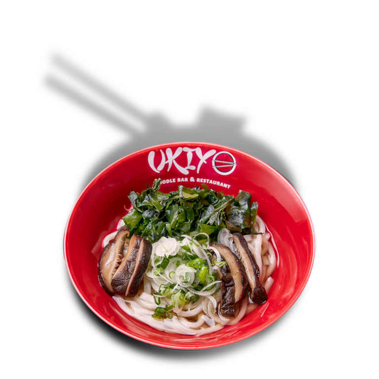 Kake Udon